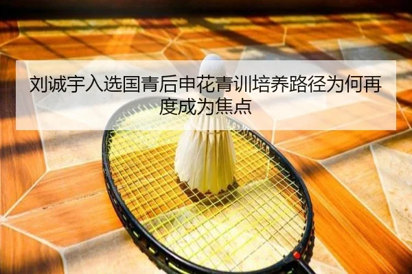 刘诚宇入选国青后申花青训培养路径为何再度成为焦点 - huobosports